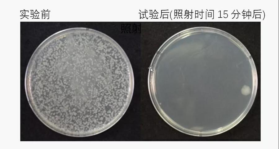 微信图片_20210917084213.jpg