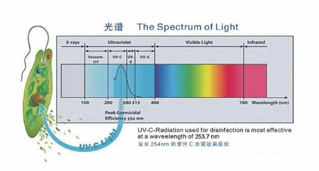微信图片_20240923111355(1)(1).png