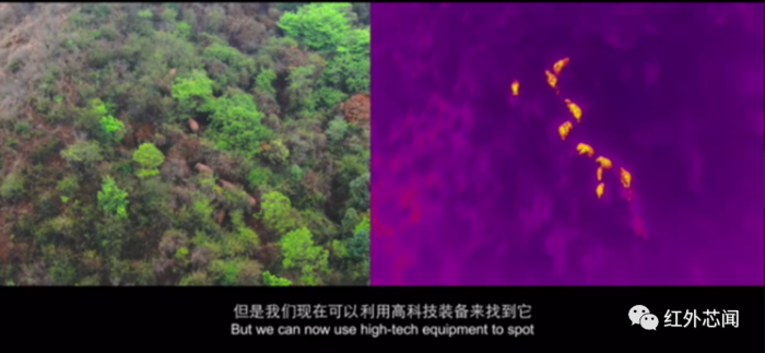 微信图片_20220818085522.png