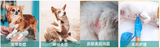 文章附图
