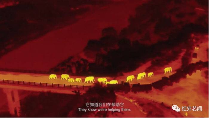 微信图片_20220818085419.png