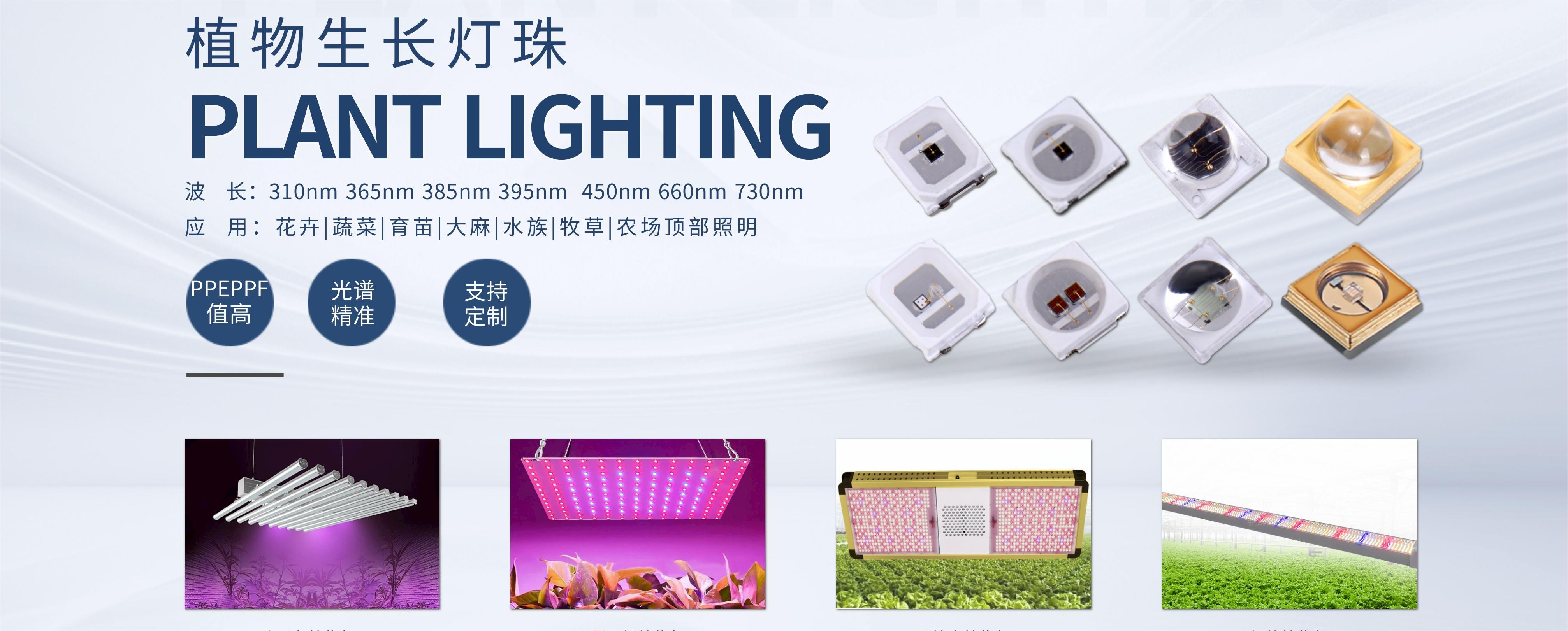 阳光不再是必需?一文看懂农业照明如何改变农业 - 深圳银月光科技有限公司